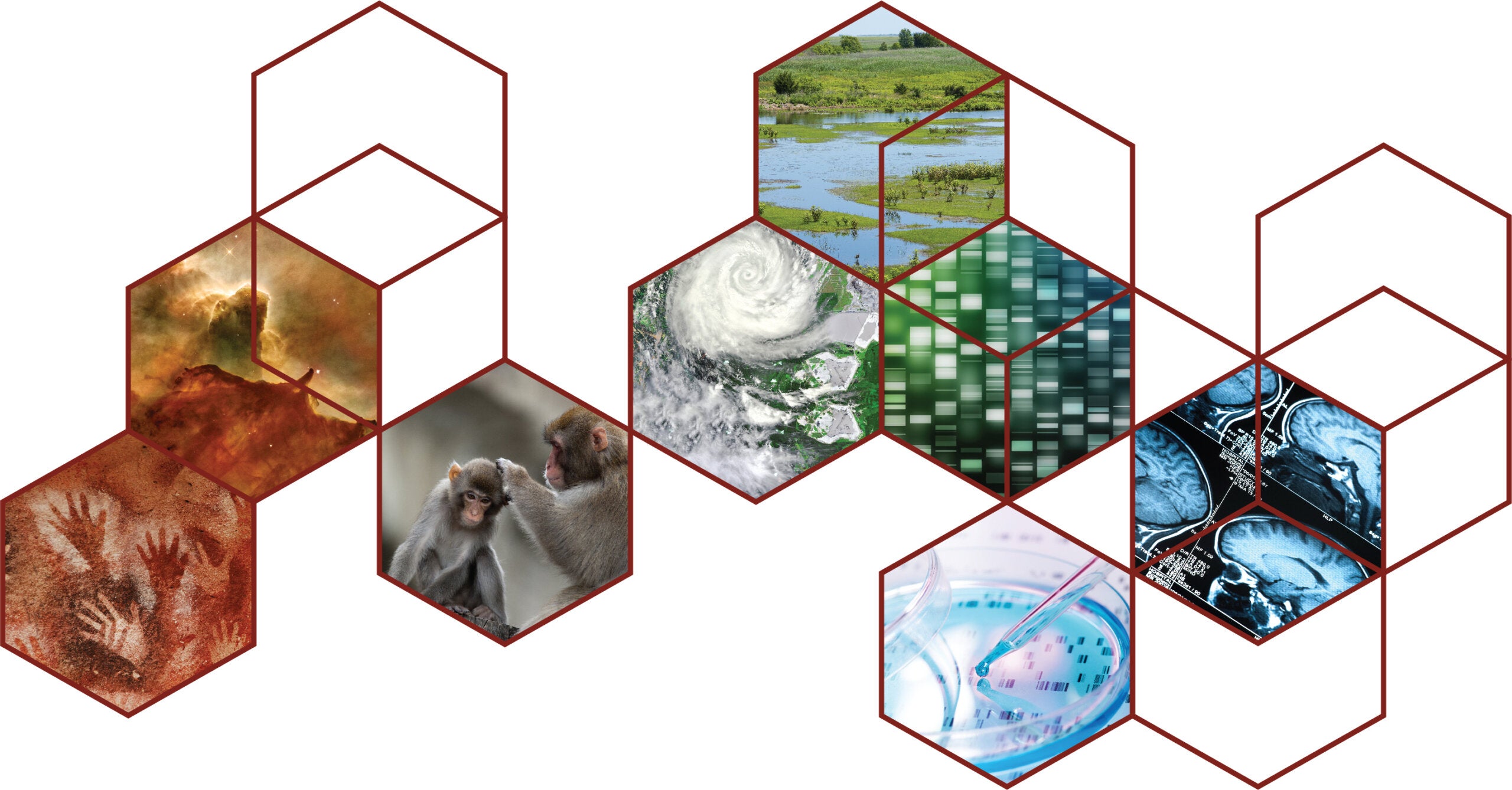 Engaging Scientists in the Science and Religion Dialogue Final Report ...